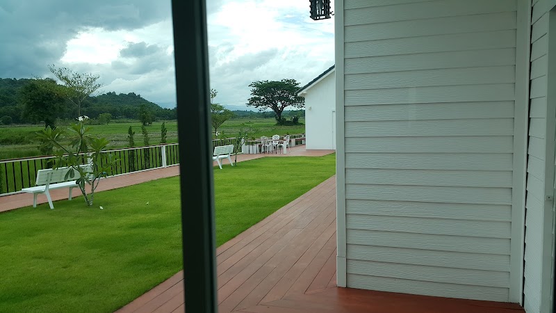 Main center view