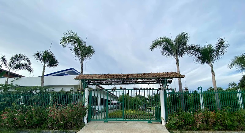 Main center view